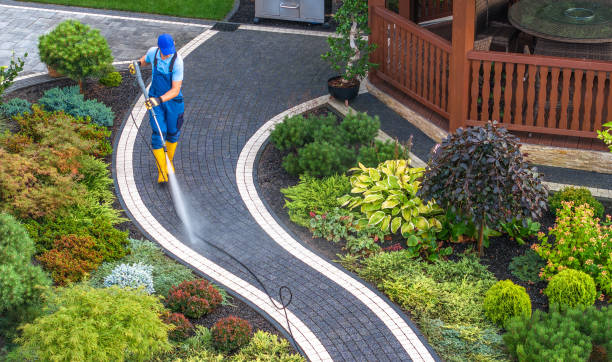 Best Roof Pressure Washing  in Whiting, WI